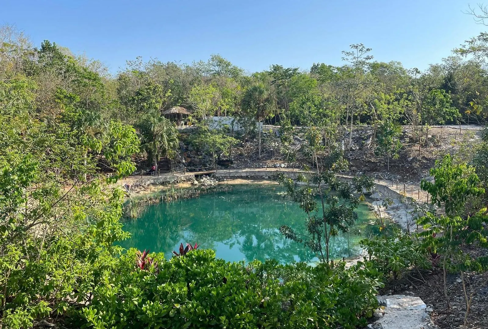 Cenote Escondido Hotel Playa del Carmen