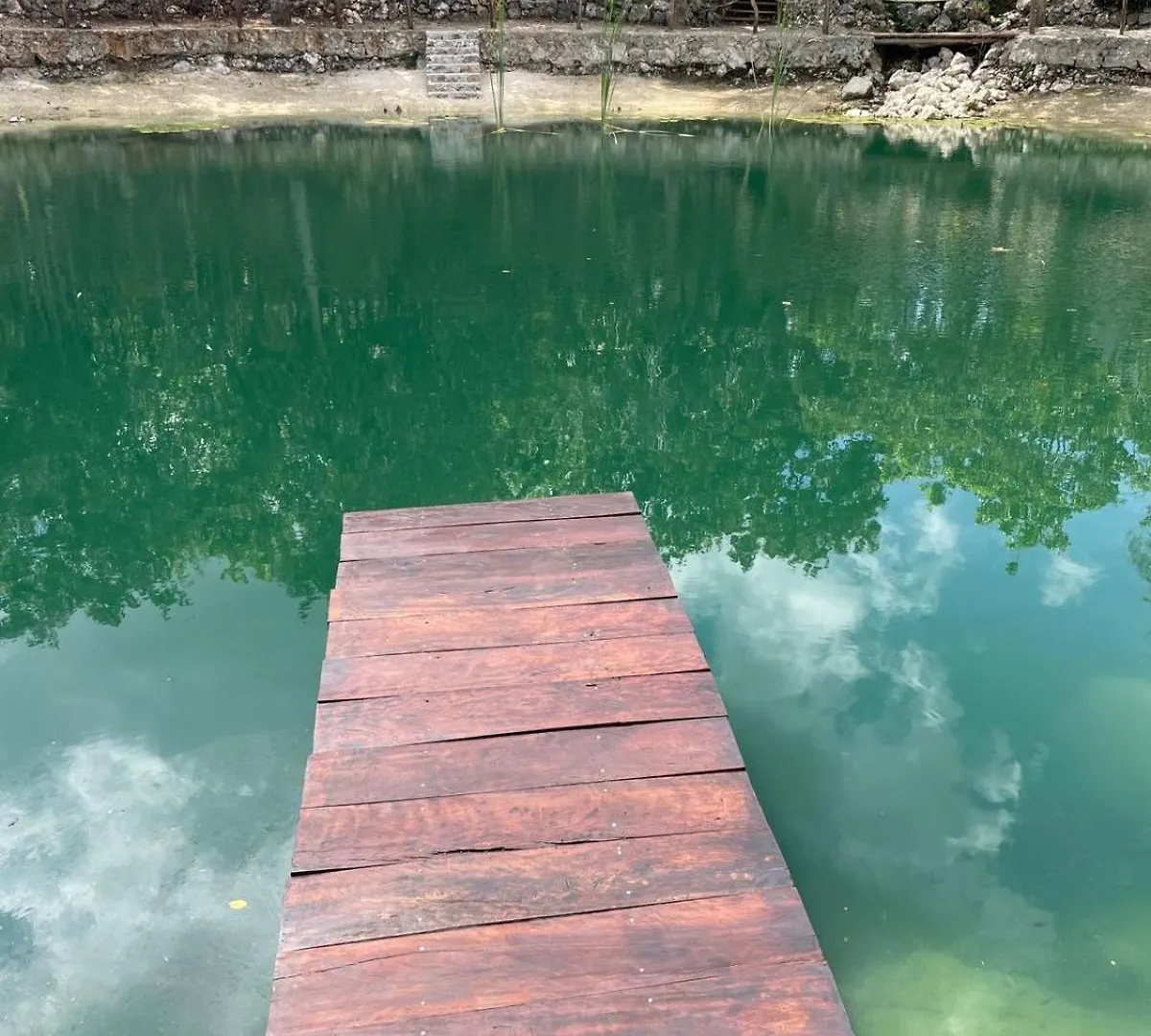 Cenote Escondido Hotel Playa del Carmen